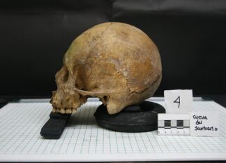 Czym zajmuje się Antropologia kulturowa?