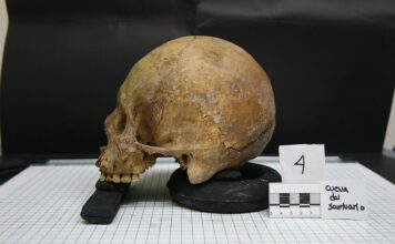 Kto zajmuje się antropologię kulturową?