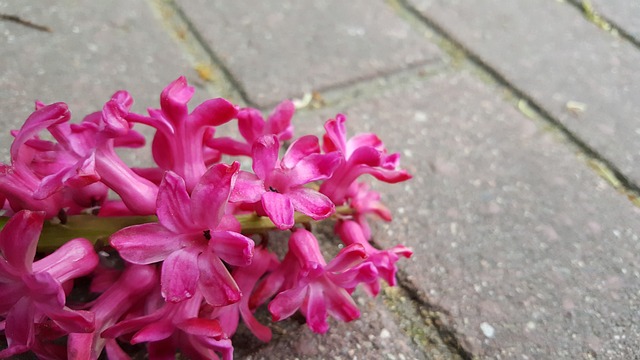 Jak działa Dalle 2? Jak działa Dalle 2?