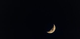 Po co jest teleobiektyw? Po co jest teleobiektyw?