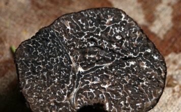 Jakie zawody są najbardziej poszukiwane obecnie w Polsce?