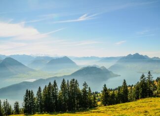 Kiedy komornik umarza długi?